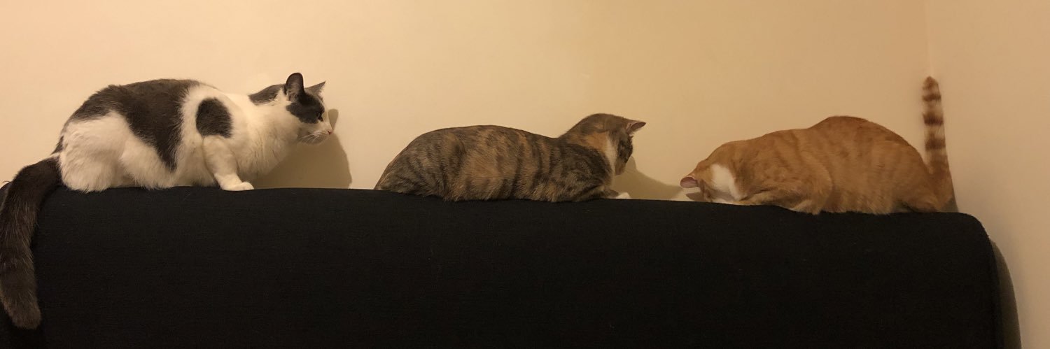 ❤️ Remrem ❤️ banner