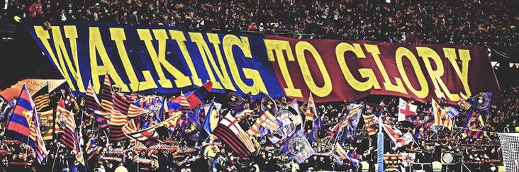 tcy10's profile banner image
