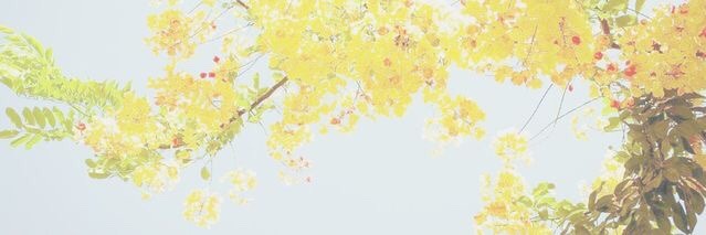pirayelist's profile banner image