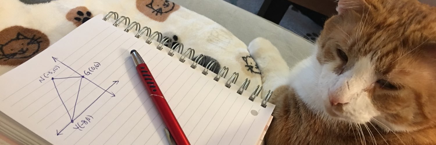jinlovesmath's profile banner image