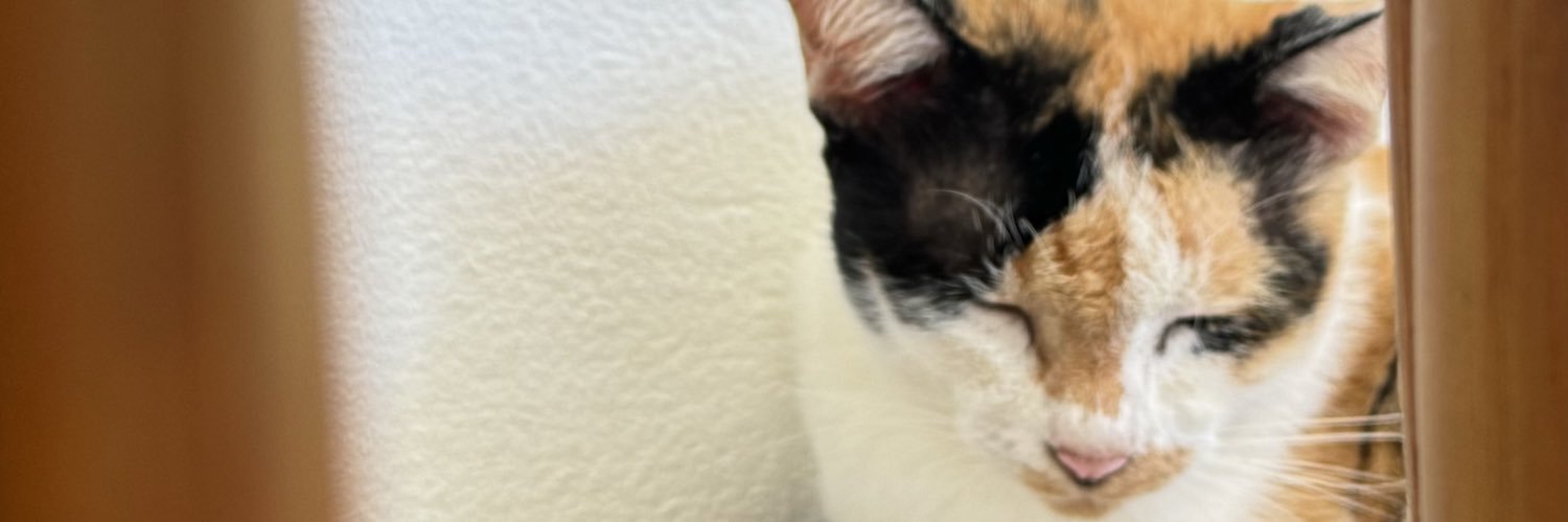 jeabcho1's profile banner image