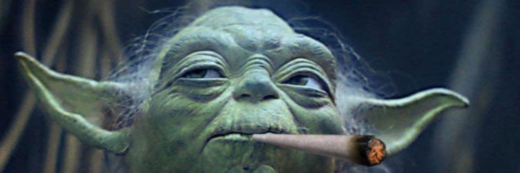 WithCooked's profile banner image