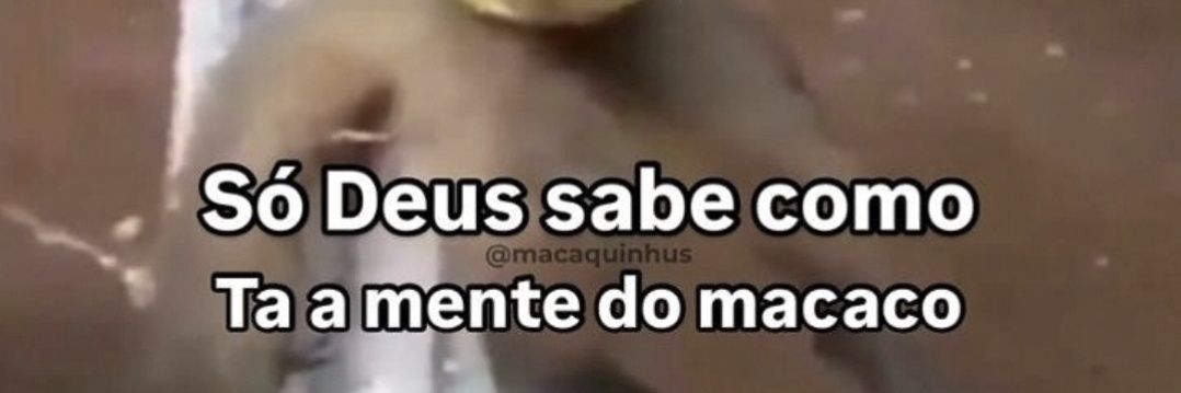 matheosinho's profile banner image