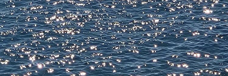 marinacantz's profile banner image