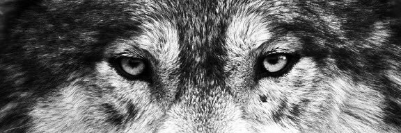 bilyasc's profile banner image