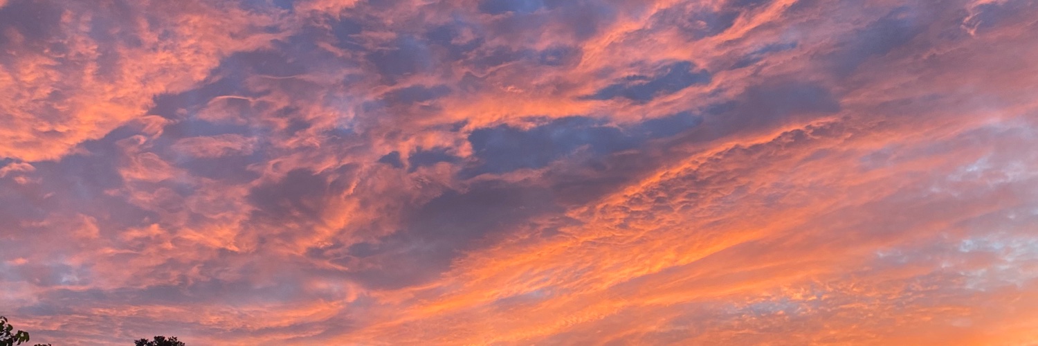 ViViDCS2_'s profile banner image