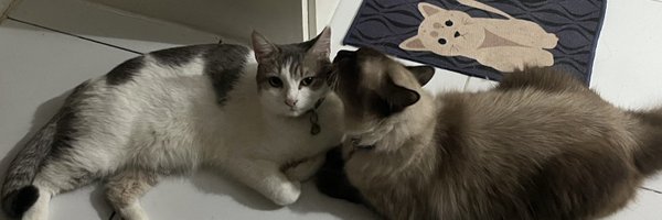 pichipichigurl Profile Banner