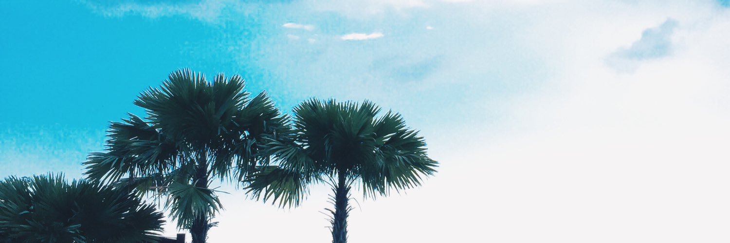peppermint2243's profile banner image