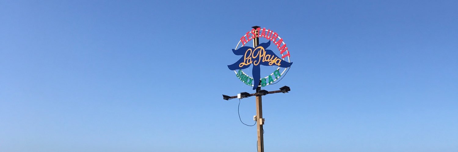 Laura Geffray banner