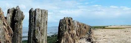 MartenDijkstra's profile banner image