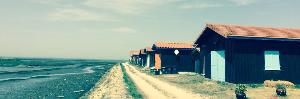 samuelbib's profile banner image