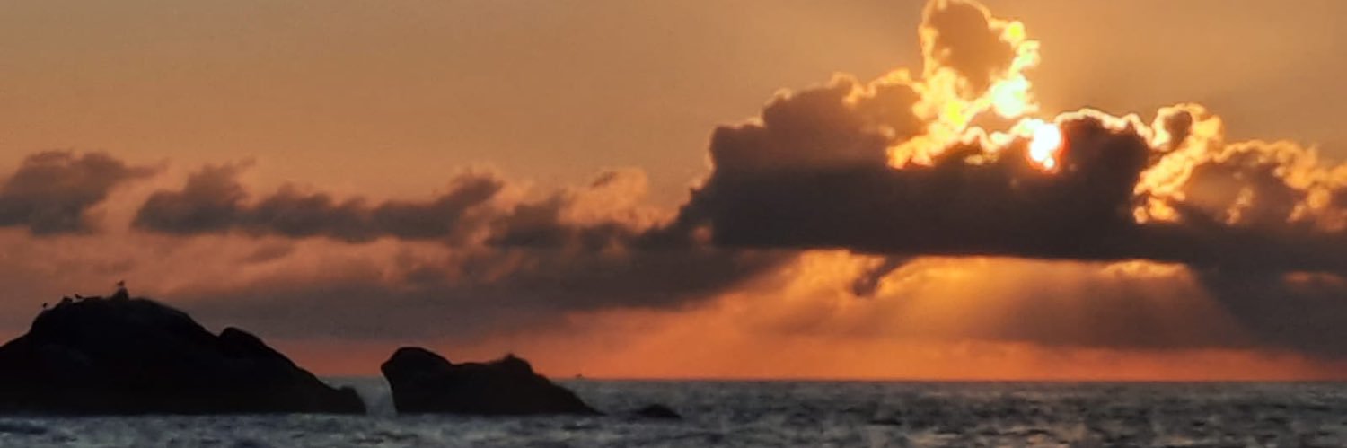 CharlesLOrsini's profile banner image