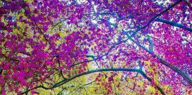 __mady's profile banner image