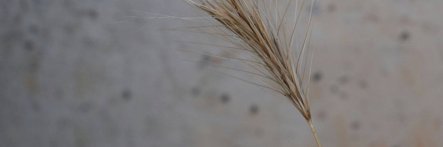 Culinary Mind banner