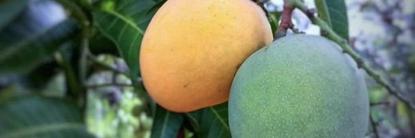 Andez256 Profile Banner