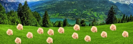 froxtii banner