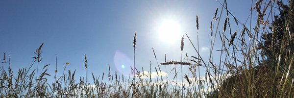 benwalgate Profile Banner