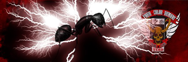 TellEmSteveDave Profile Banner