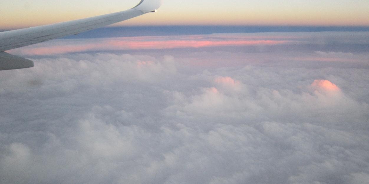 Yoana Dimitrova banner