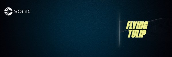 DoctorDeFi Profile Banner