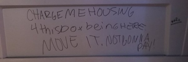 Amber Cohon🔆❤️ Memecoin banner