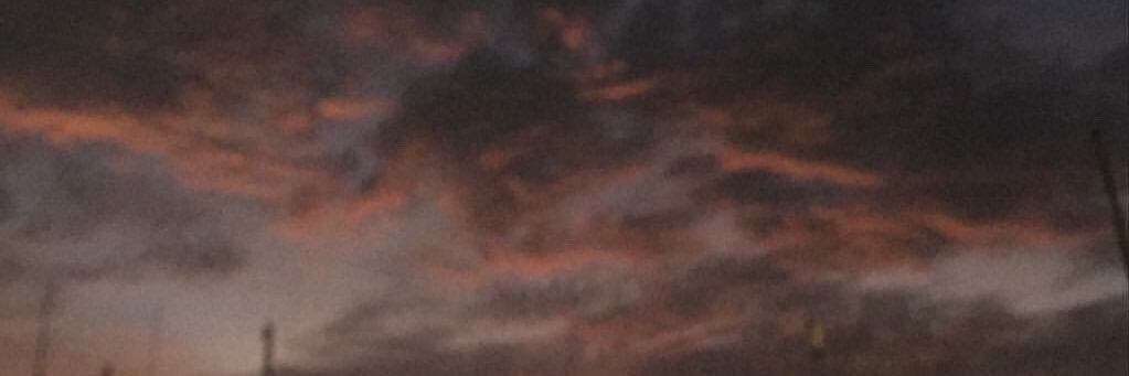 cecemilann's profile banner image
