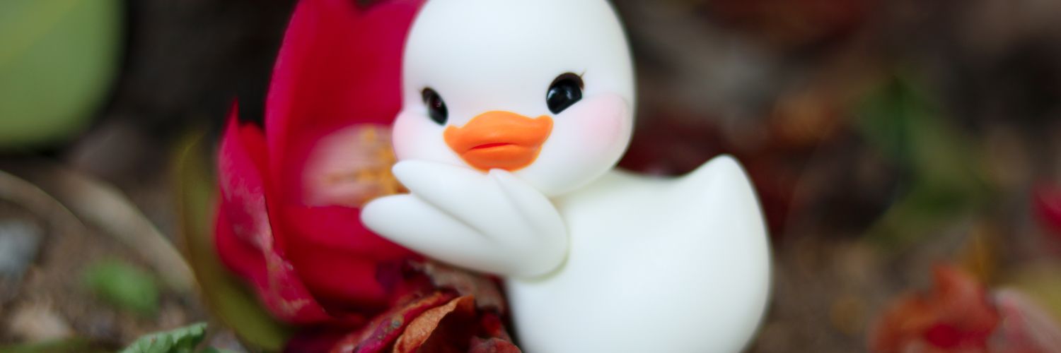 jyeong_gu's profile banner image