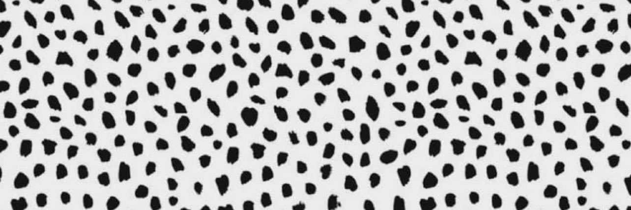 car_dgs's profile banner image