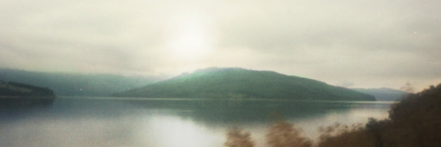 Marcelo D banner