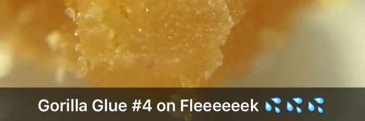 Babbsipps's profile banner image