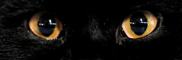 tinalmzere's profile banner image