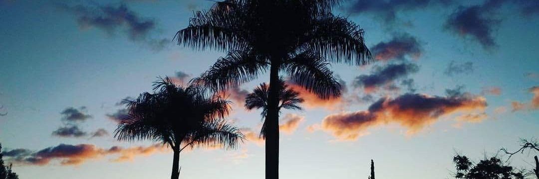 MarcoBasilio's profile banner image