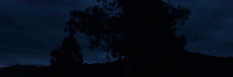 viviwhore's profile banner image