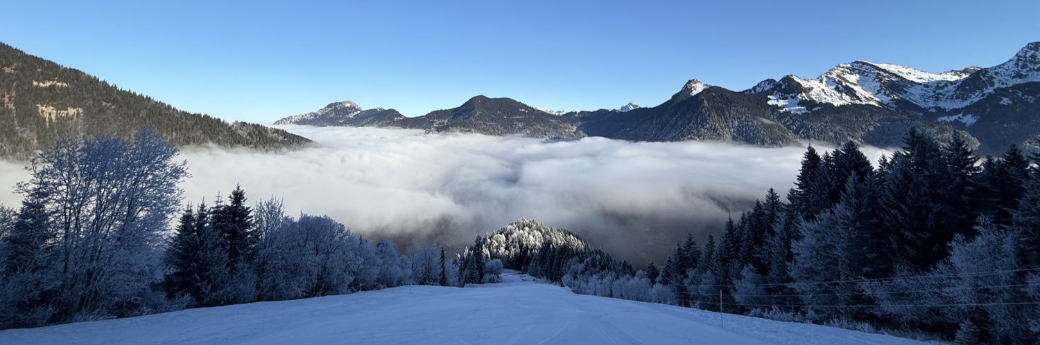 Mathieu Mendel banner