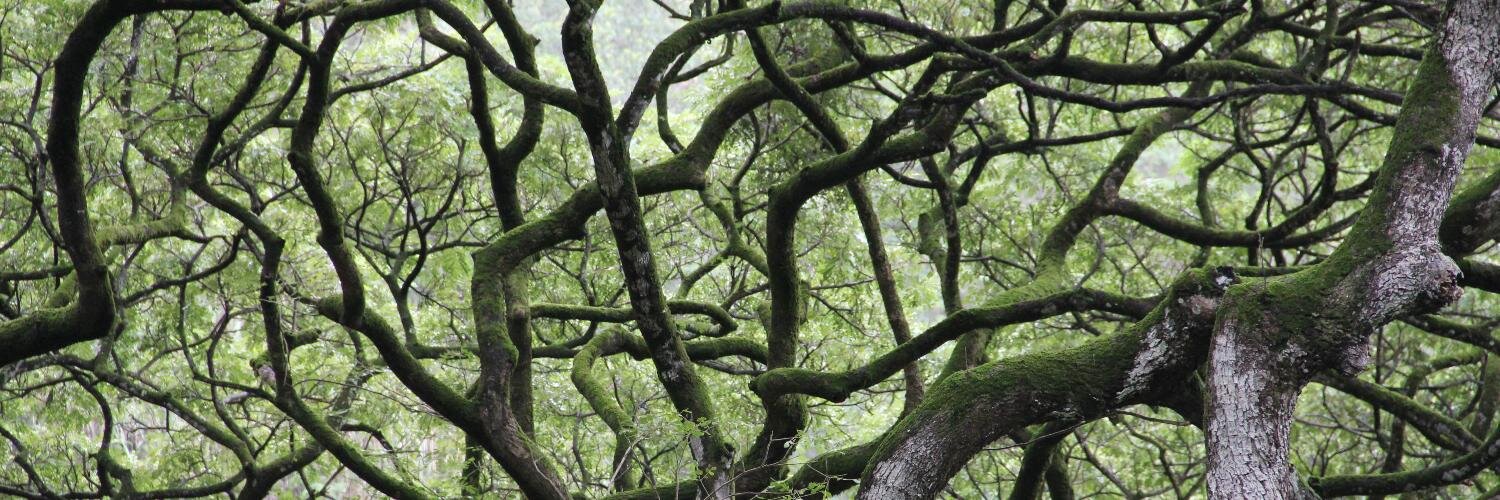 Nate Eagle 🦅 banner