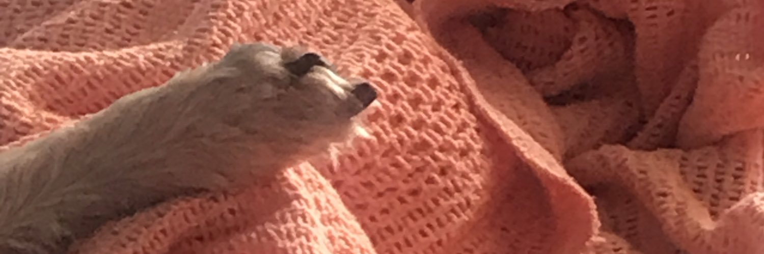 Doris_Malula 🐾🌞🕯🇺🇦 banner