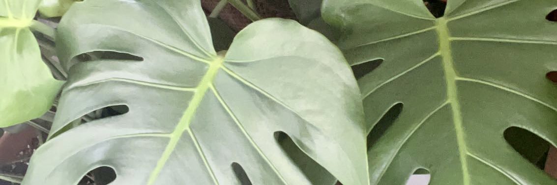 Queenqbh's profile banner image