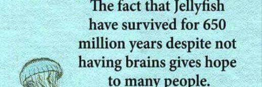 सुमित banner