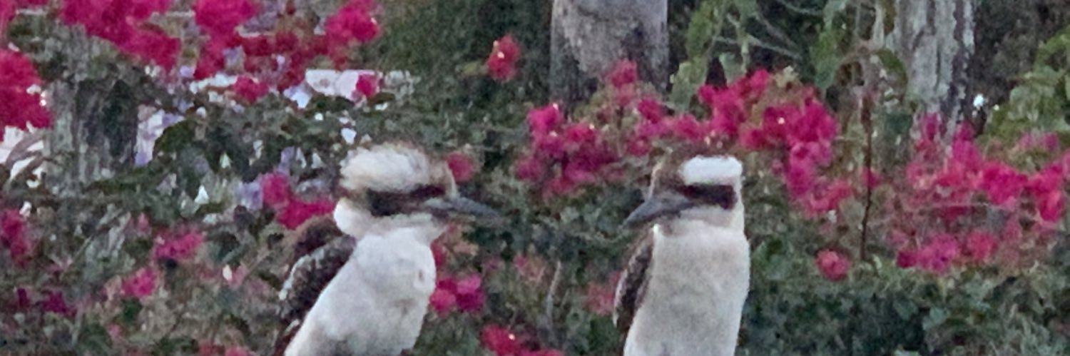 Dr. Mashhuda Glencross banner