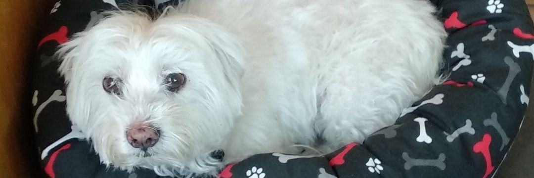 fermoore_'s profile banner image