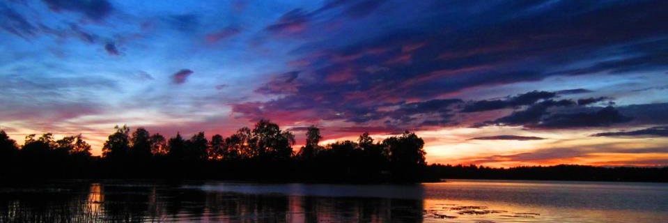Iiris Komulainen banner