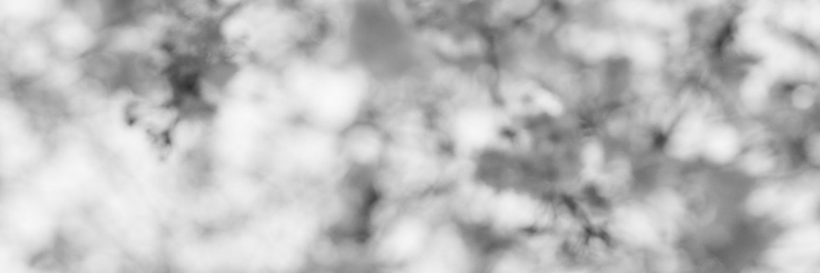 Chrisi 🇳🇱🇩🇪 banner