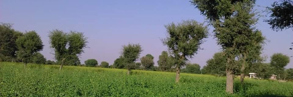 Sangram Chavan ARS banner