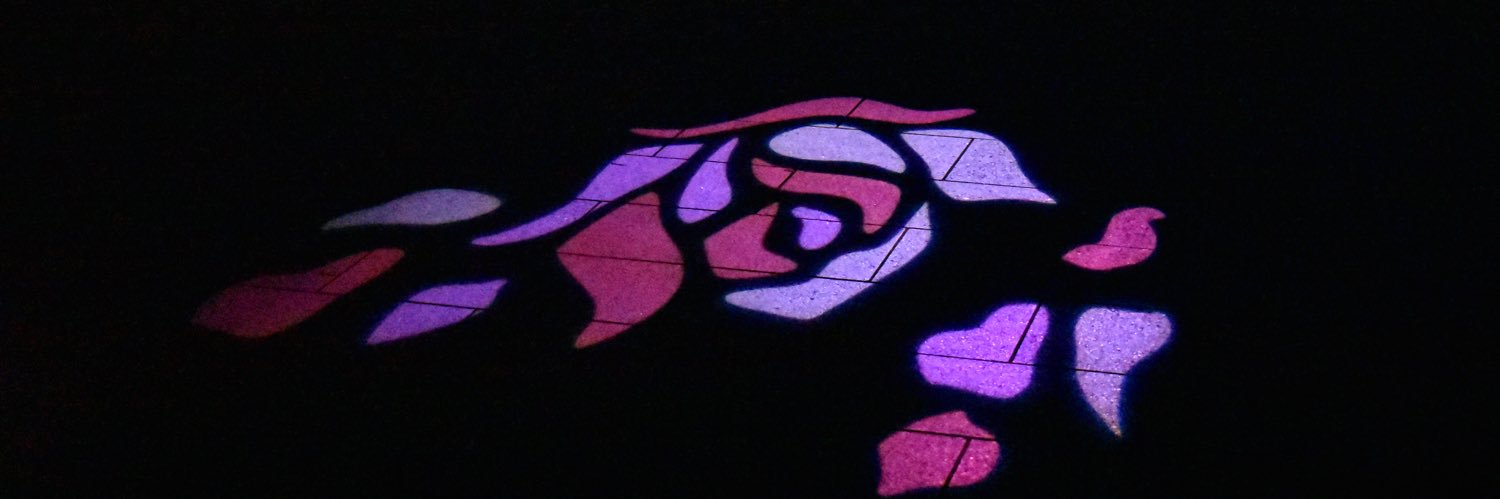 nikocamera's profile banner image