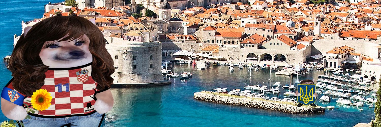 The Rabbit_Fellina banner