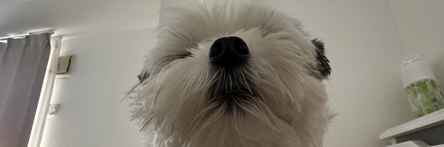 mtakgn_'s profile banner image