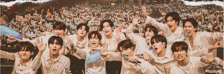 silfi🐬 banner