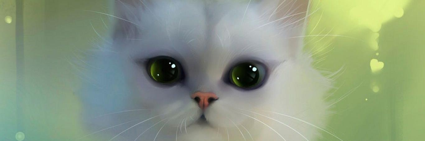 saveawoman's profile banner image