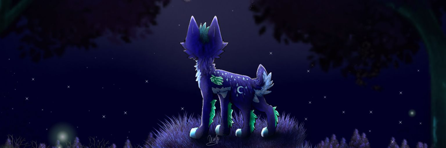 FanSpinel's profile banner image