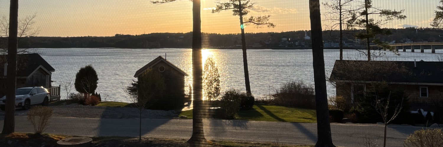 ActionP24 ⚓️#VoteBlue🇨🇺🇺🇸 banner